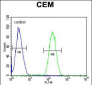 WAS Antibody (Center)